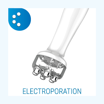 electroporacion